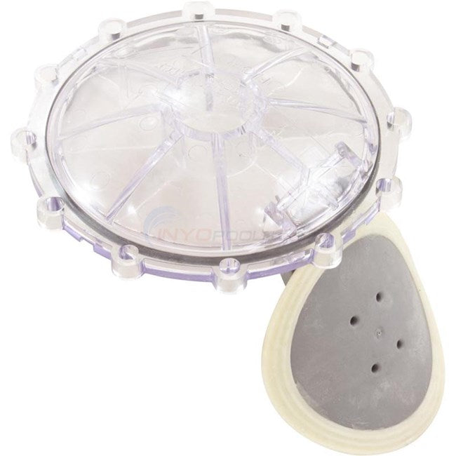 Pentair 270119Z Check Valve Flapper Replacement Kit