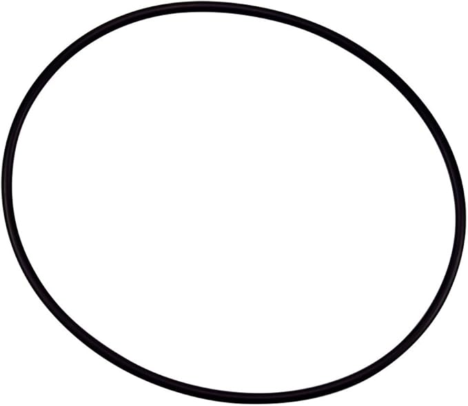 Pentair 154493 O-Ring Clear Black C