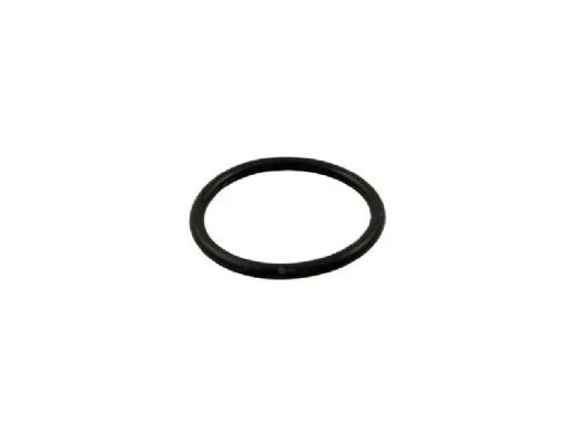 Pentair 274494Z O-Ring 2-332 VLV ADPT