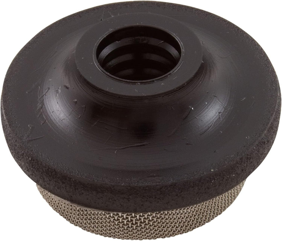 Pentair 150035Z, 3/8-Inch Electric Air Relief Strainer