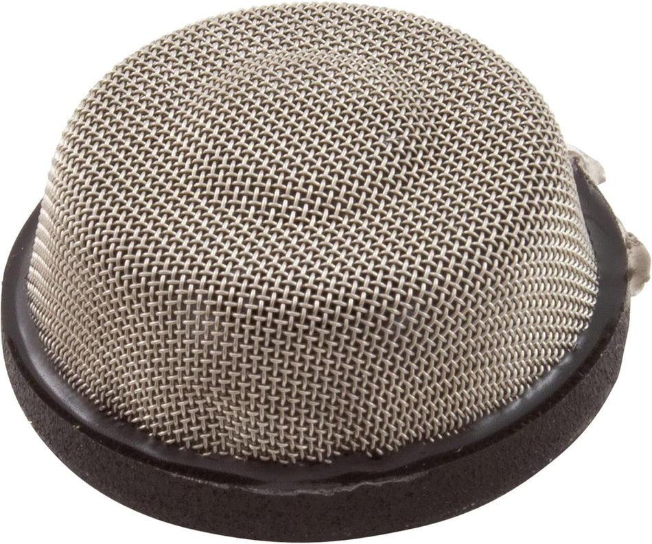 Pentair 150035Z, 3/8-Inch Electric Air Relief Strainer