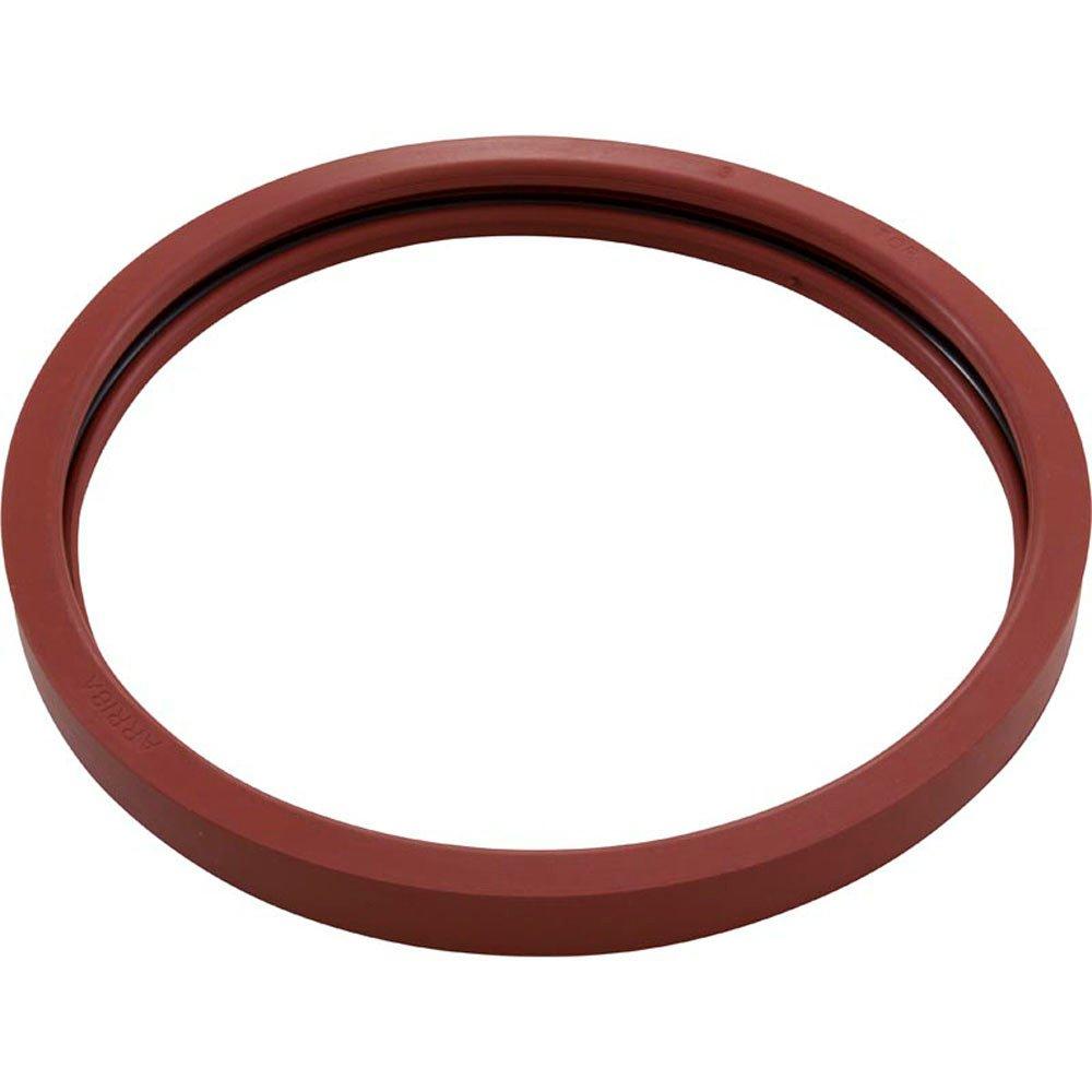 Alternative image of Pentair Gasket Kit