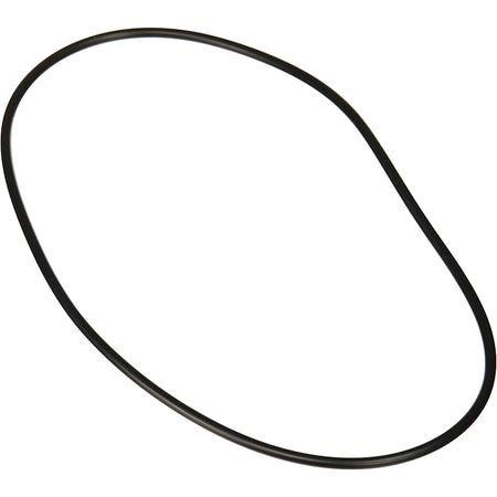 Main image of Jandy Pro Series O-Ring Backplate