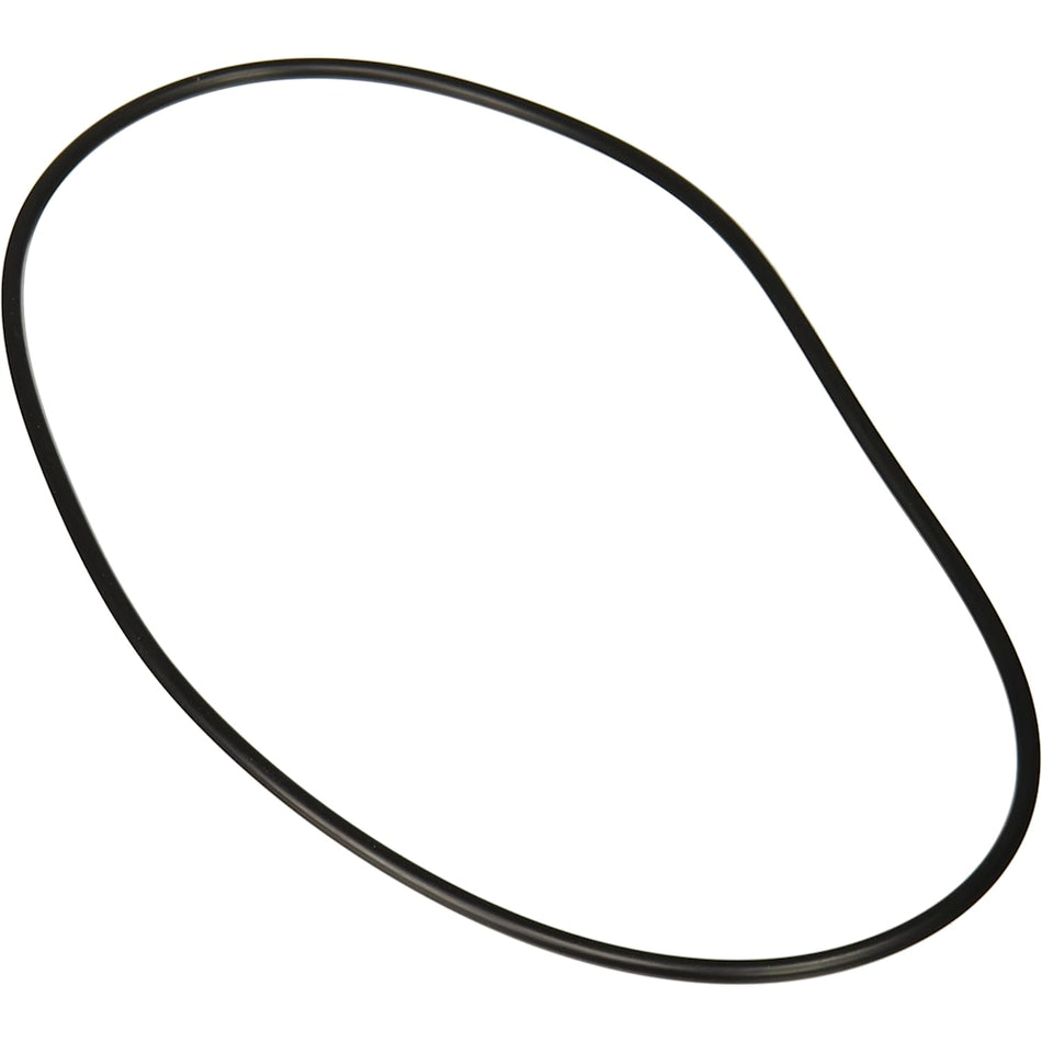 Main image of Jandy Pro Series O-Ring Backplate