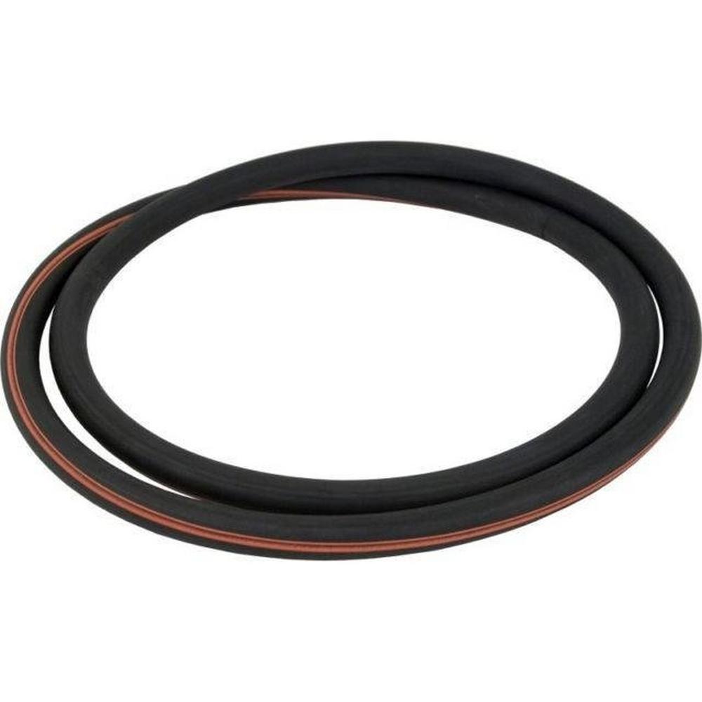 Lid O-Ring with Red Line for Purex SMBW 2000 Filter