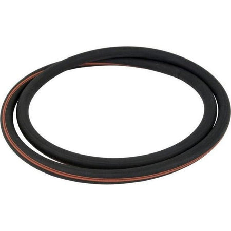 Lid O-Ring with Red Line for Purex SMBW 2000 Filter
