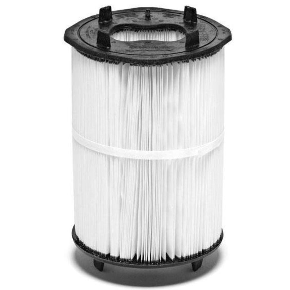 Pentair 27002-0100S Sta-Rite PLM100 Replacement Cartridge, 100 sq ft