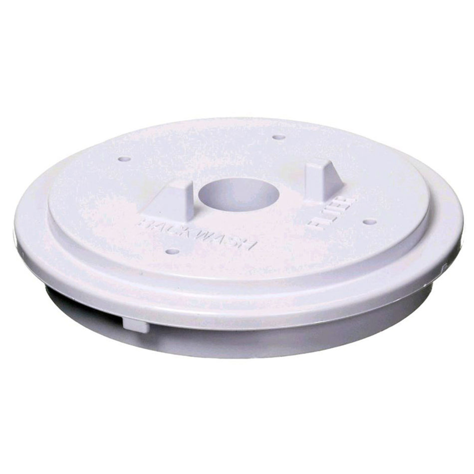 Pentair Cap Insert Top Image 1