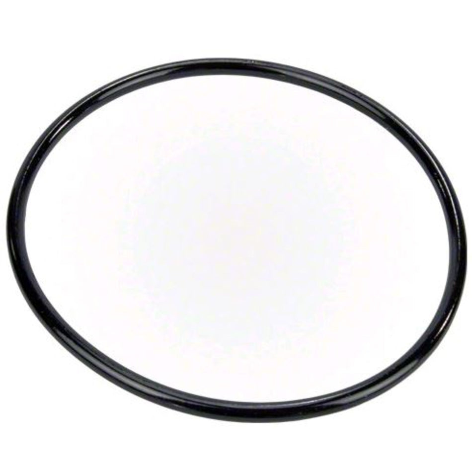 Pentair 350013Z Pump Lid O-Ring