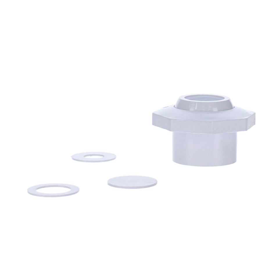 Pentair Economy Insider 1-1/2" Pressure Test Disks, White | 542002