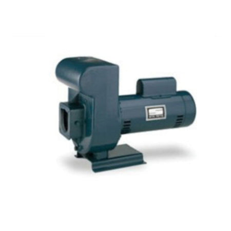 Pentair Centrifugal Pump 230/460V 3PH
