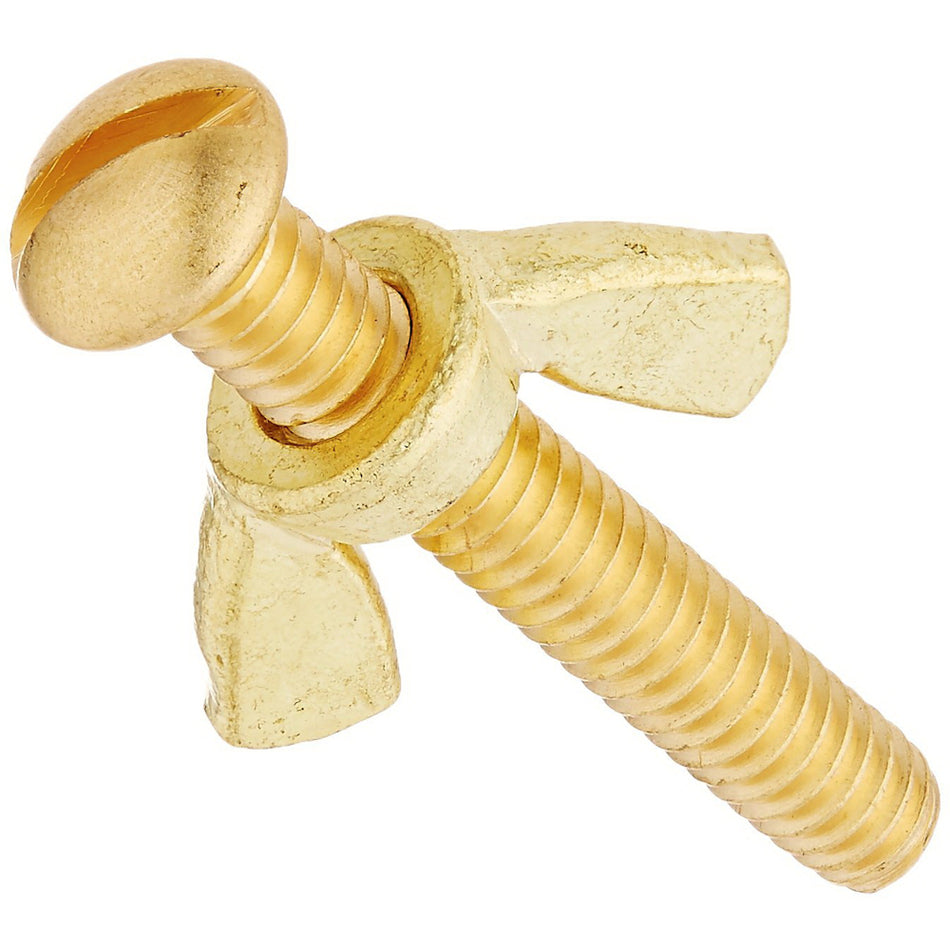 Pentair R221156 #155 Brass Wing Nut & Bolt