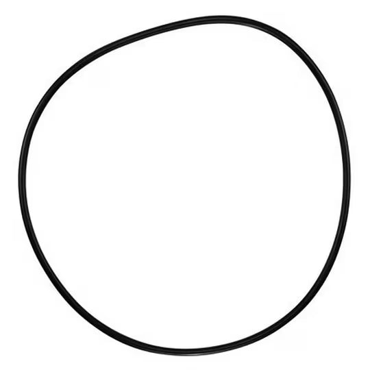 Pentair 071433 O-Ring C-18 | 071433