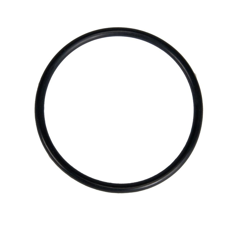 Jandy R0622000 Pro Series O-Ring for Diffuser