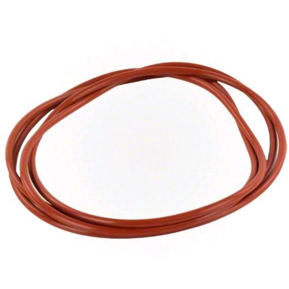 Raypak O-Ring Gasket - Image 2