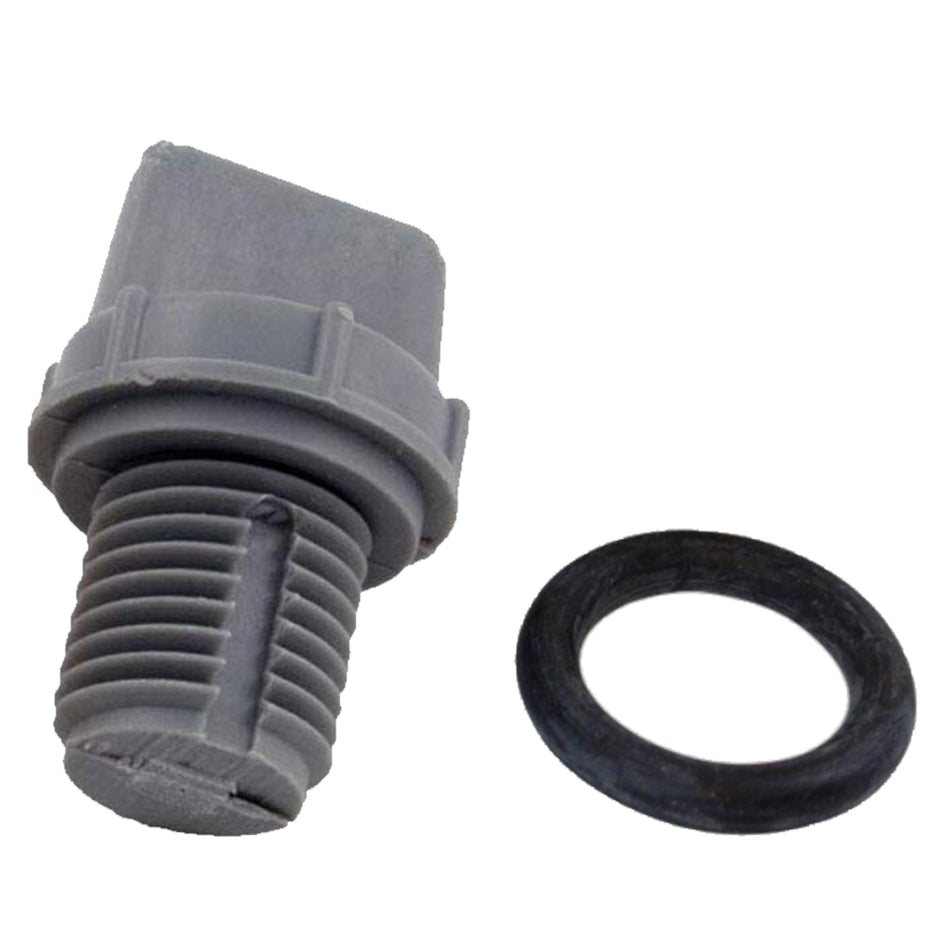 Raypak Pool Heater Drain Plug Kit | 006721F