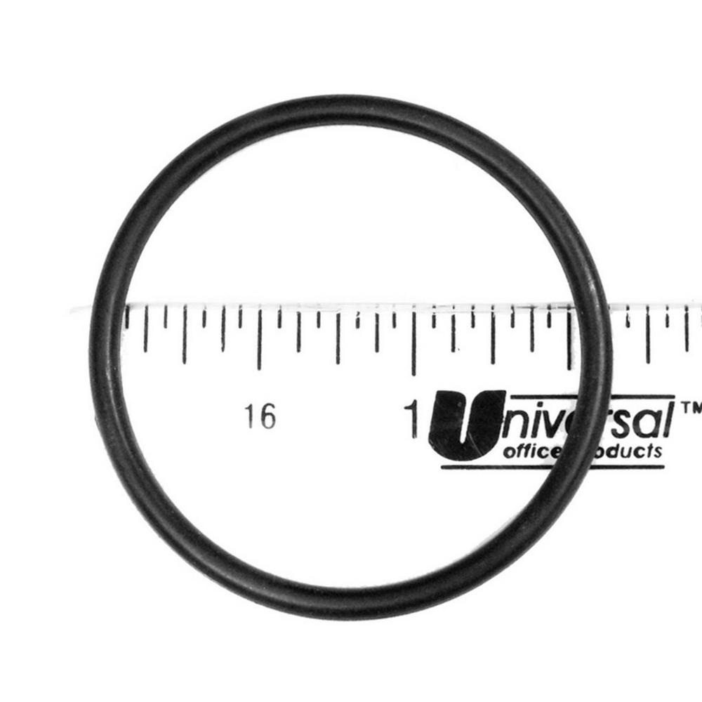 Pentair O-Ring Alternate Image 2