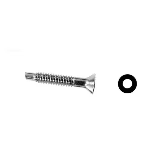 Pentair 619355Z SS Pilot Screw w/ Washer