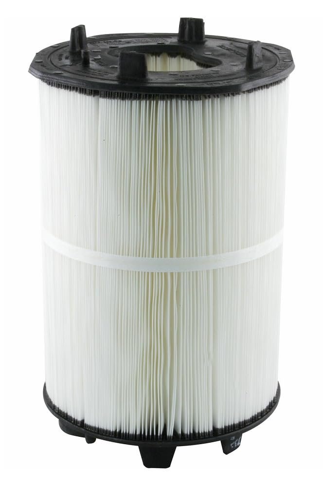 Pentair Sta-Rite 27002-0100S System 2 3 PLM100 Module Cartridge Filter